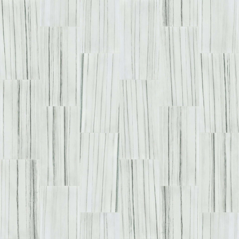 CASINO 16X32 POLISHED in Zebrino Tile