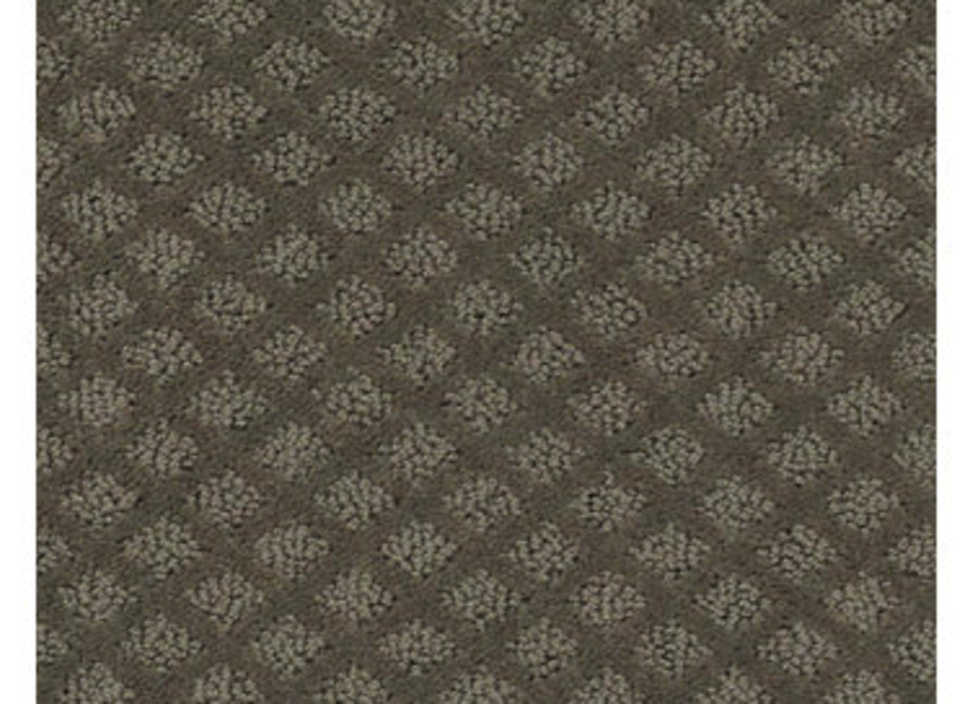 Pace Setter in Graphite Carpet