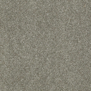 Silver Sage