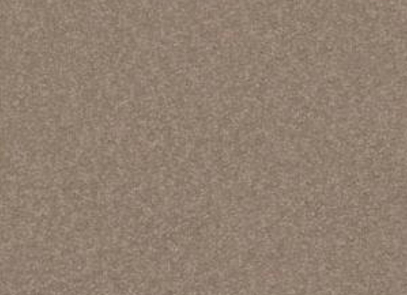 Sandy Hollow Classic I 12' in Soft Shadow Carpet