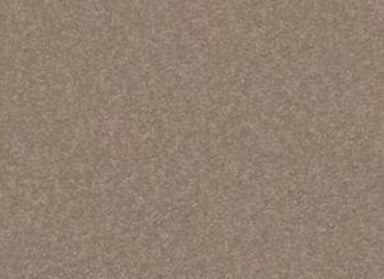 Sandy Hollow Classic I 12' in Soft Shadow Carpet
