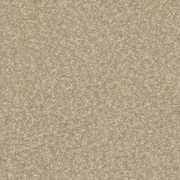 Sahara