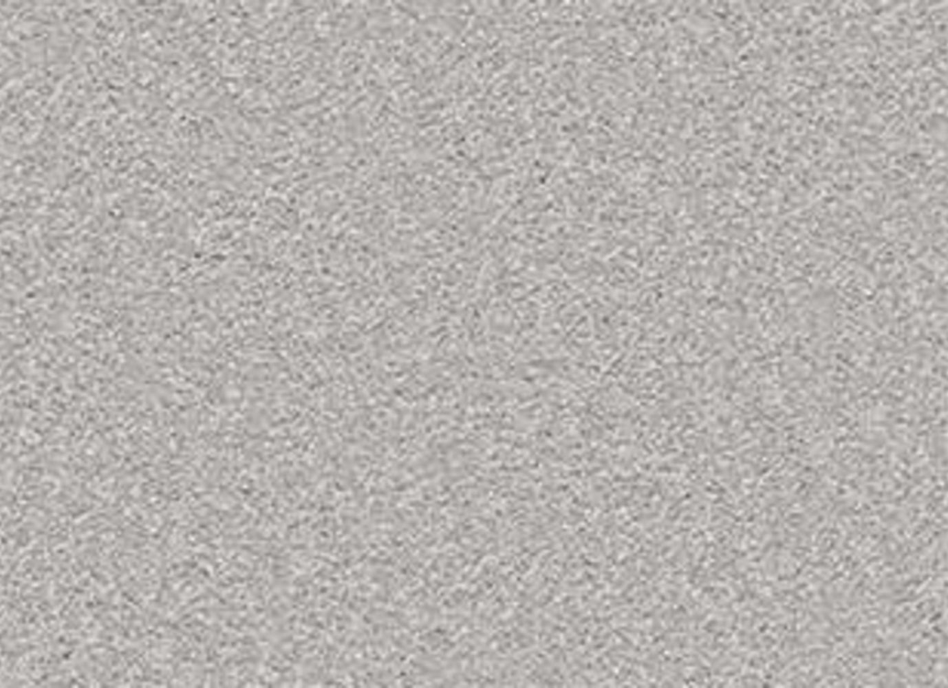 Sandy Hollow Classic II 12 in Silver Charm Carpet