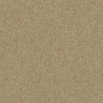 Sahara