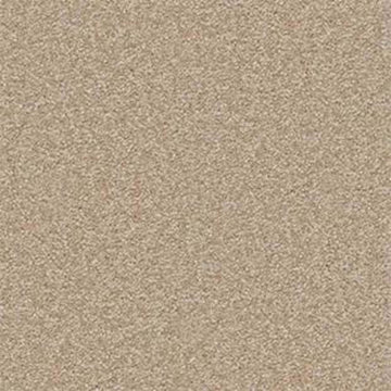 Sahara