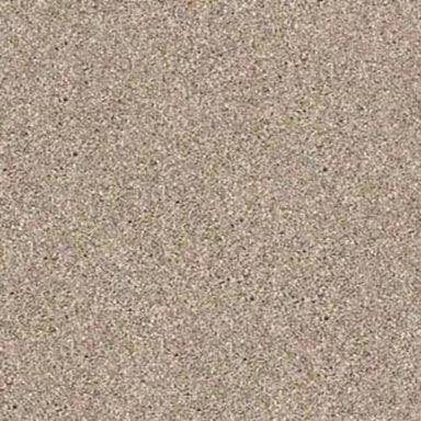 Awesome 5 (T) in Mole Hill Carpet