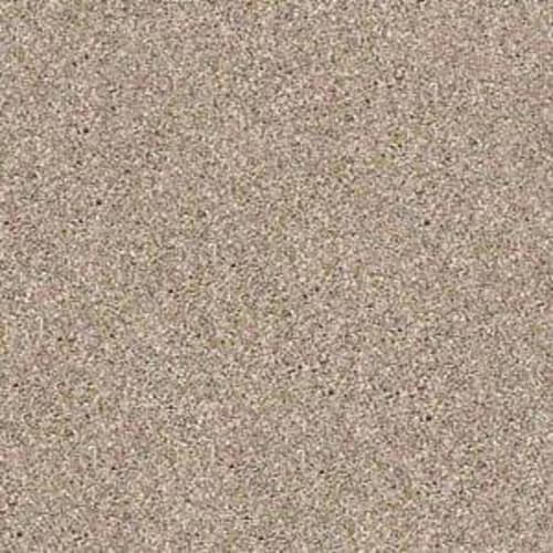 Awesome 5 (T) in Mole Hill Carpet