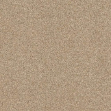 Awesome 7 (T) in Rich Butter Carpet