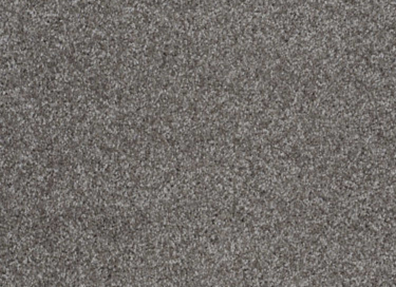 Parlay in Charcoal Carpet