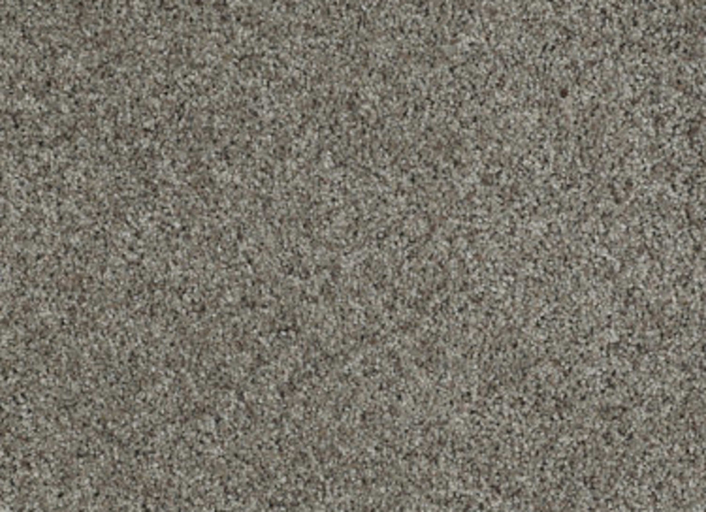 That's Right in Vintage Carpet