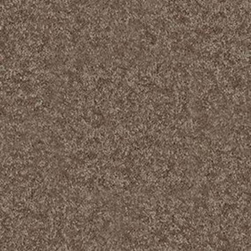 Winter Wheat
