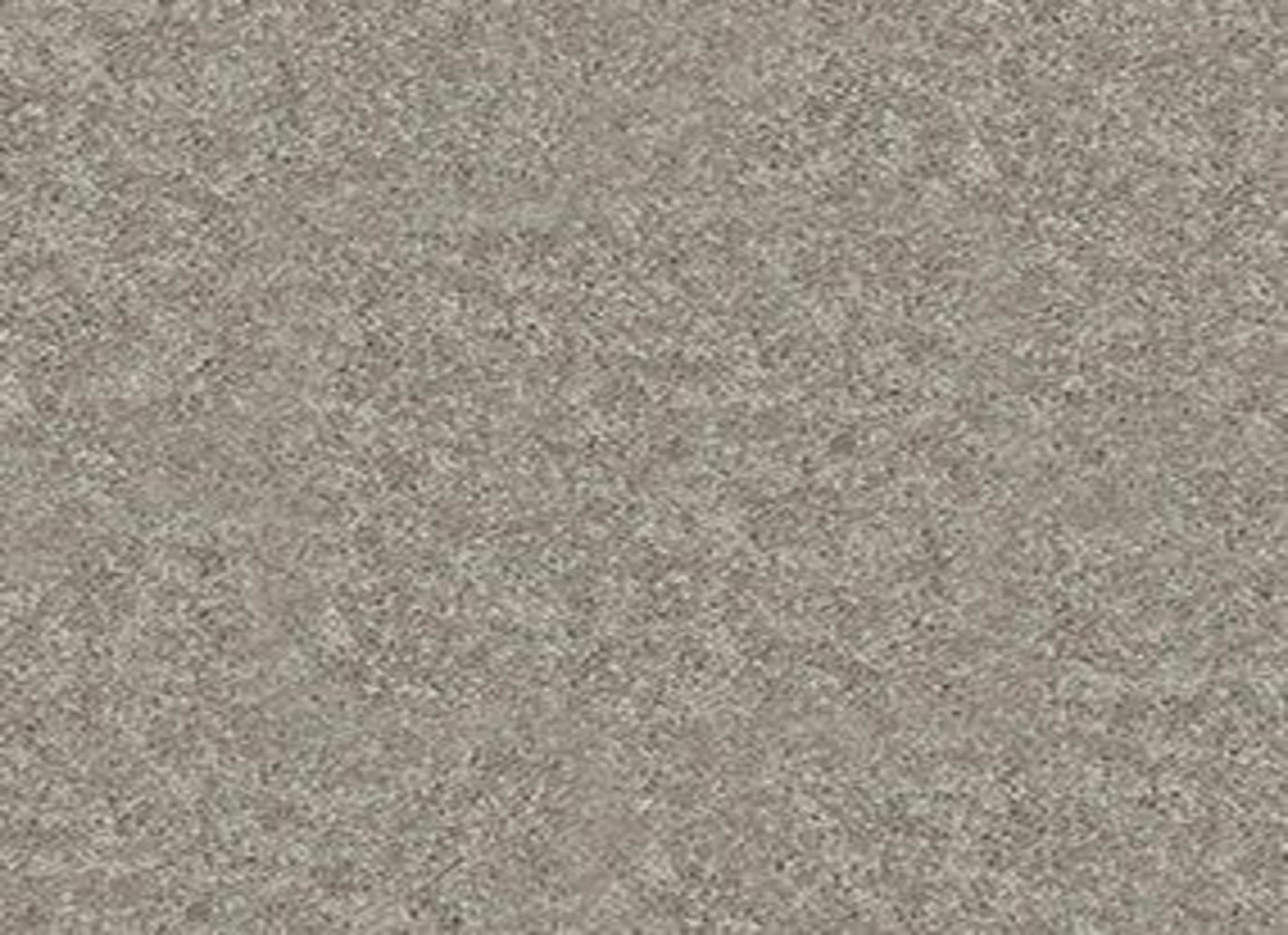 DYERSBURG CLASSIC 15' in Taupe Mist Carpet