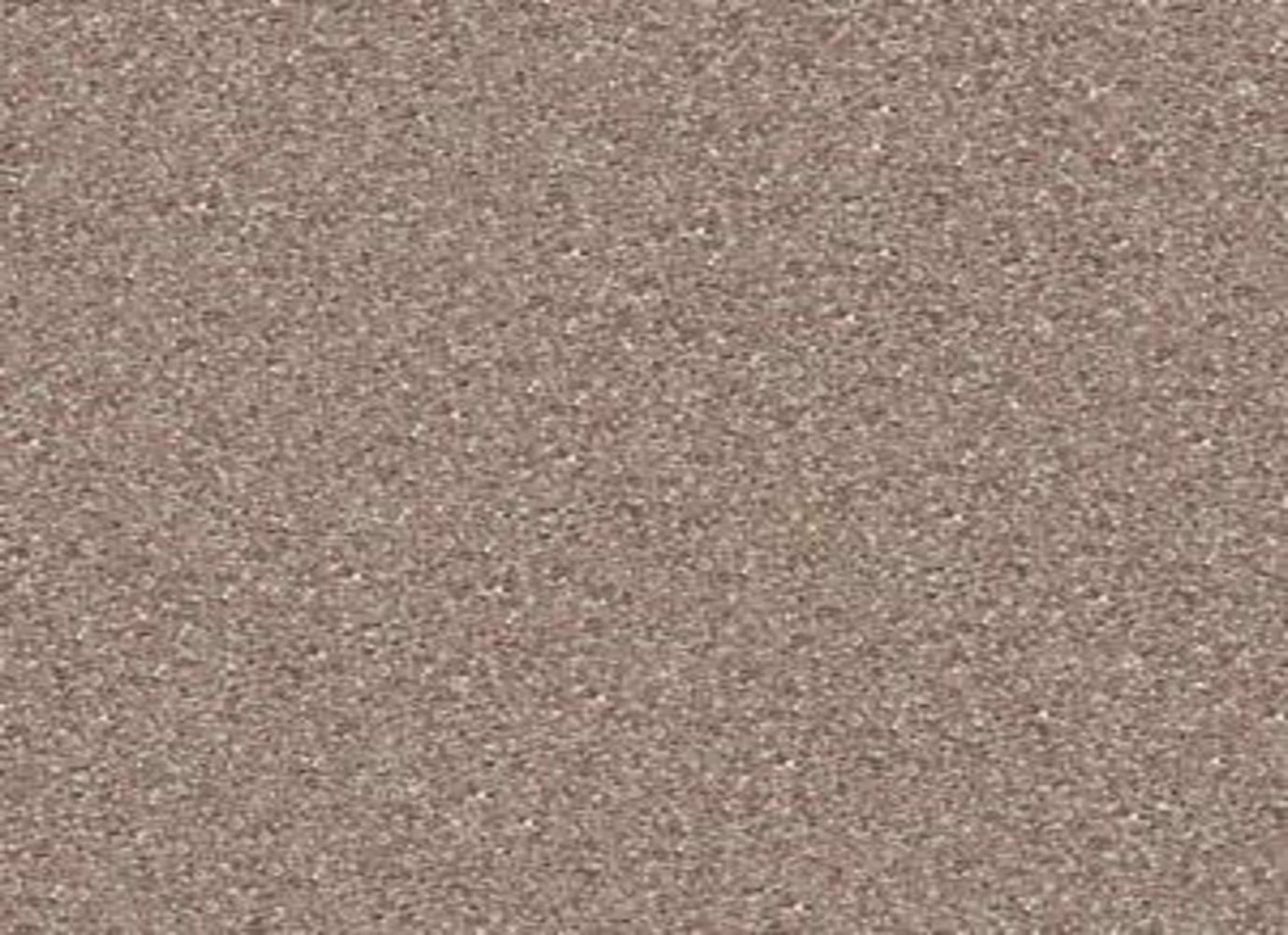 Newbern Classic 12' in Taupe Mist Carpet