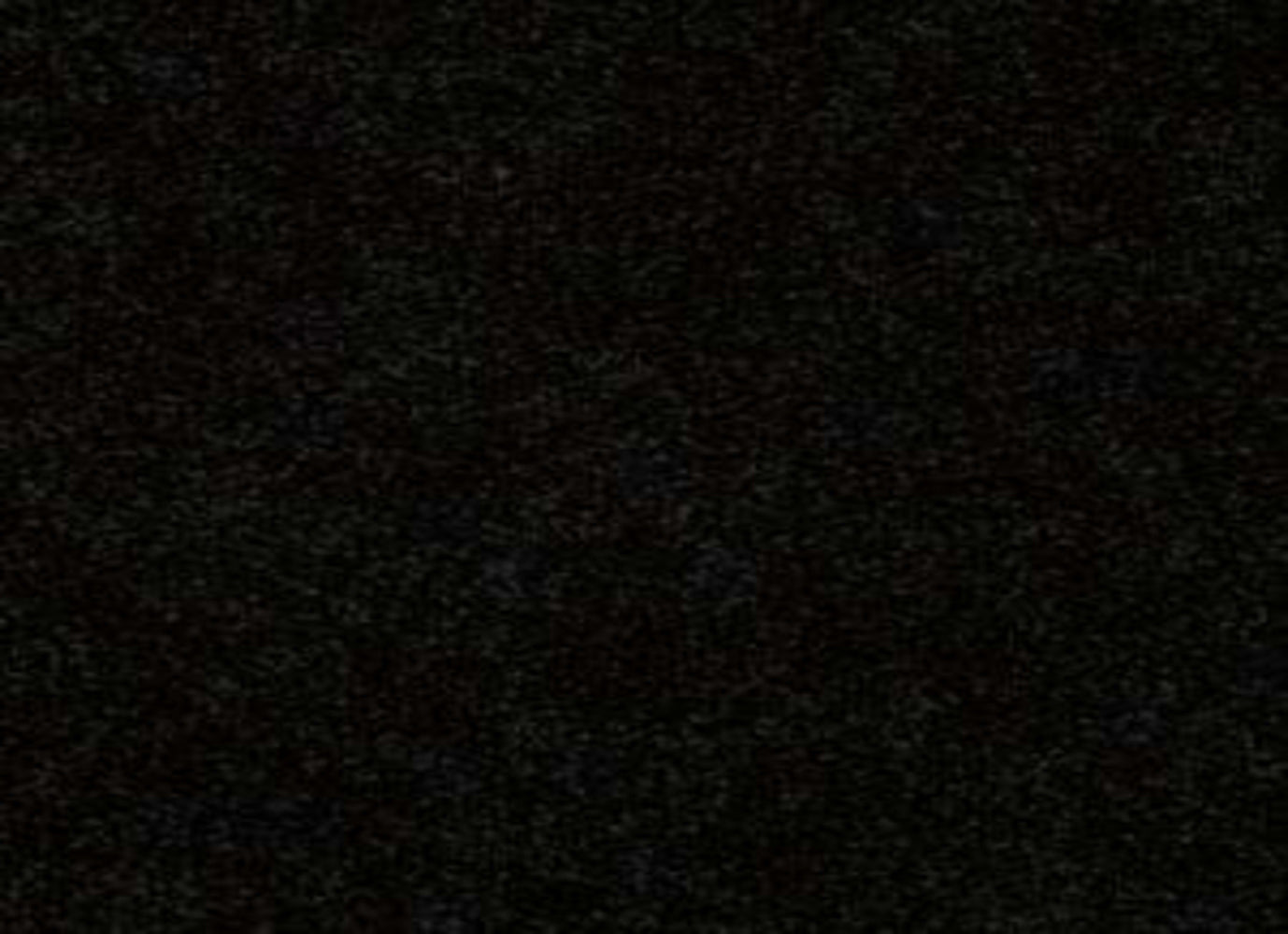 NEWBERN CLASSIC 15' in Coal Black Carpet