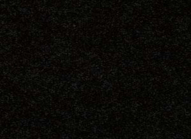 NEWBERN CLASSIC 15' in Coal Black Carpet