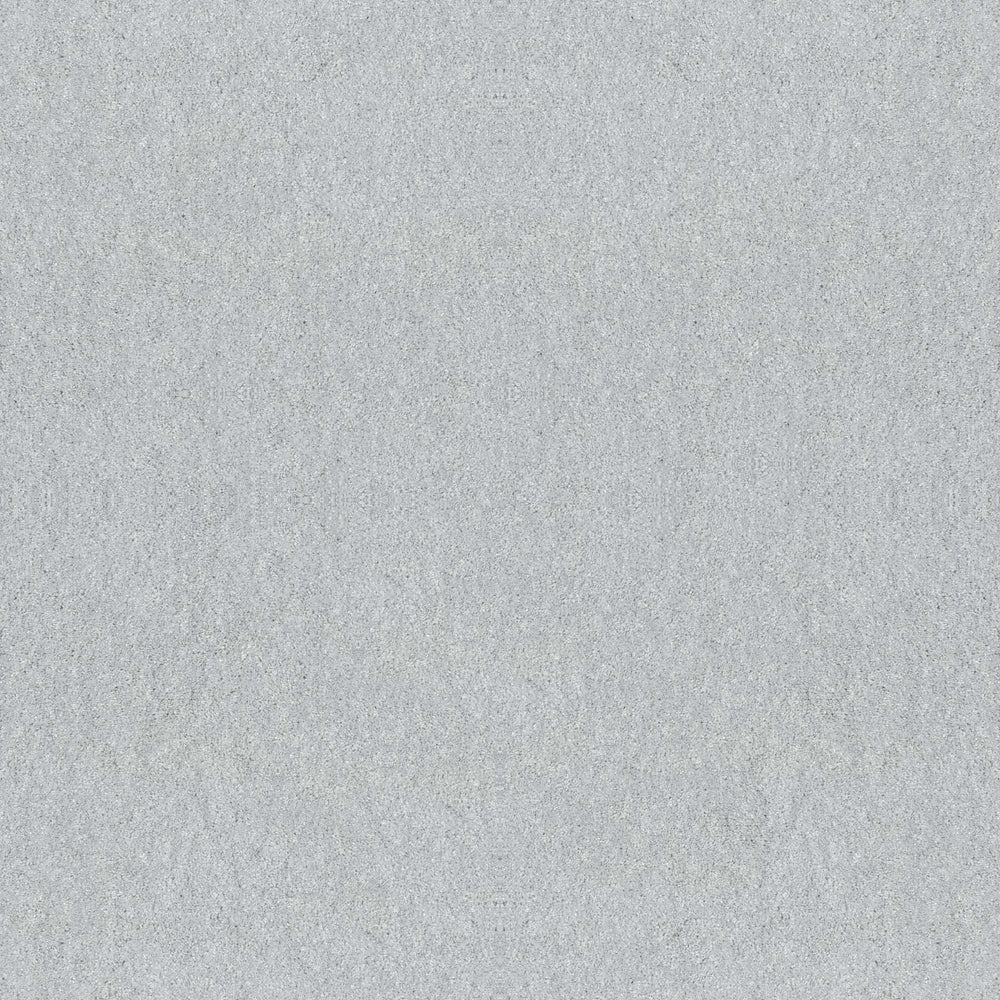BASIC RULES in Mist Carpet