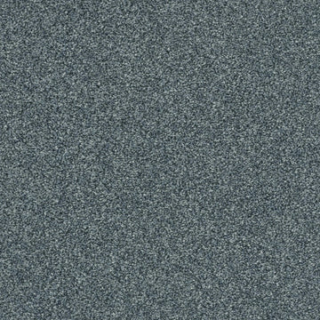 Blue Wing