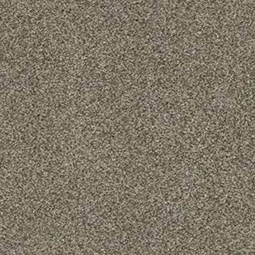 Dreamy Taupe
