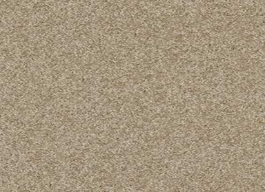 KEEN SENSES I in Grounded Carpet