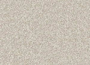 MAKE IT WORK in Scenic Drive Carpet