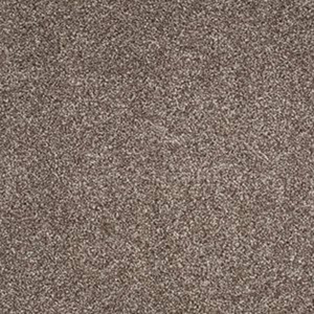 ALWAYS READY I in Cobble Brown Carpet