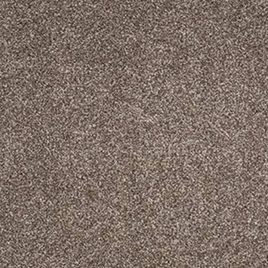 ALWAYS READY I in Cobble Brown Carpet