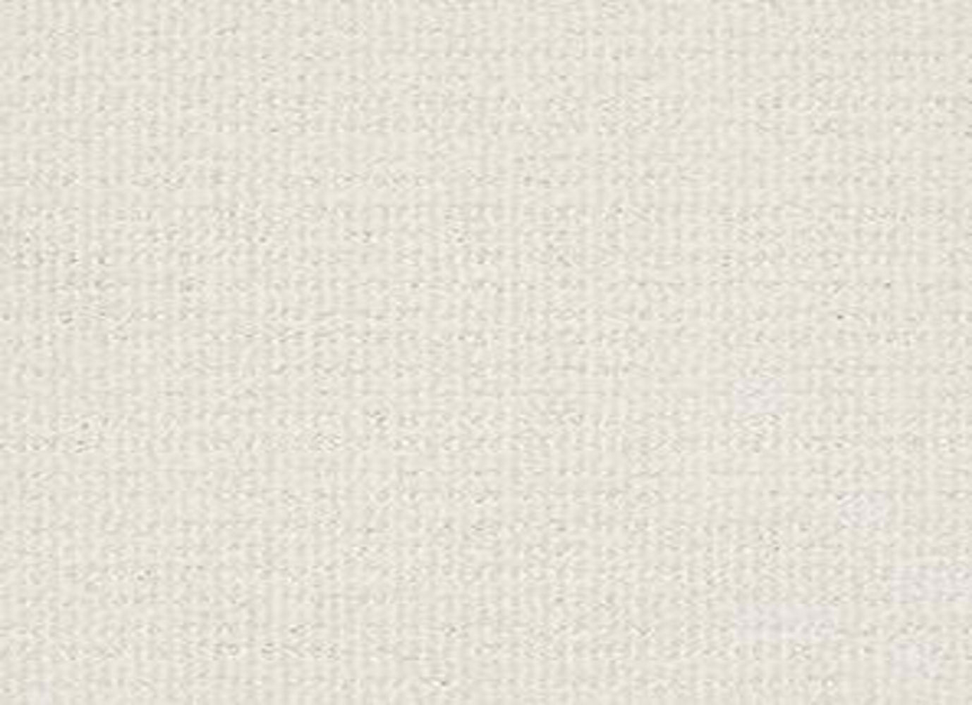 SENSIBLE NOW in Crisp Linen Carpet