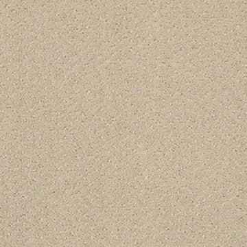 Studio Taupe