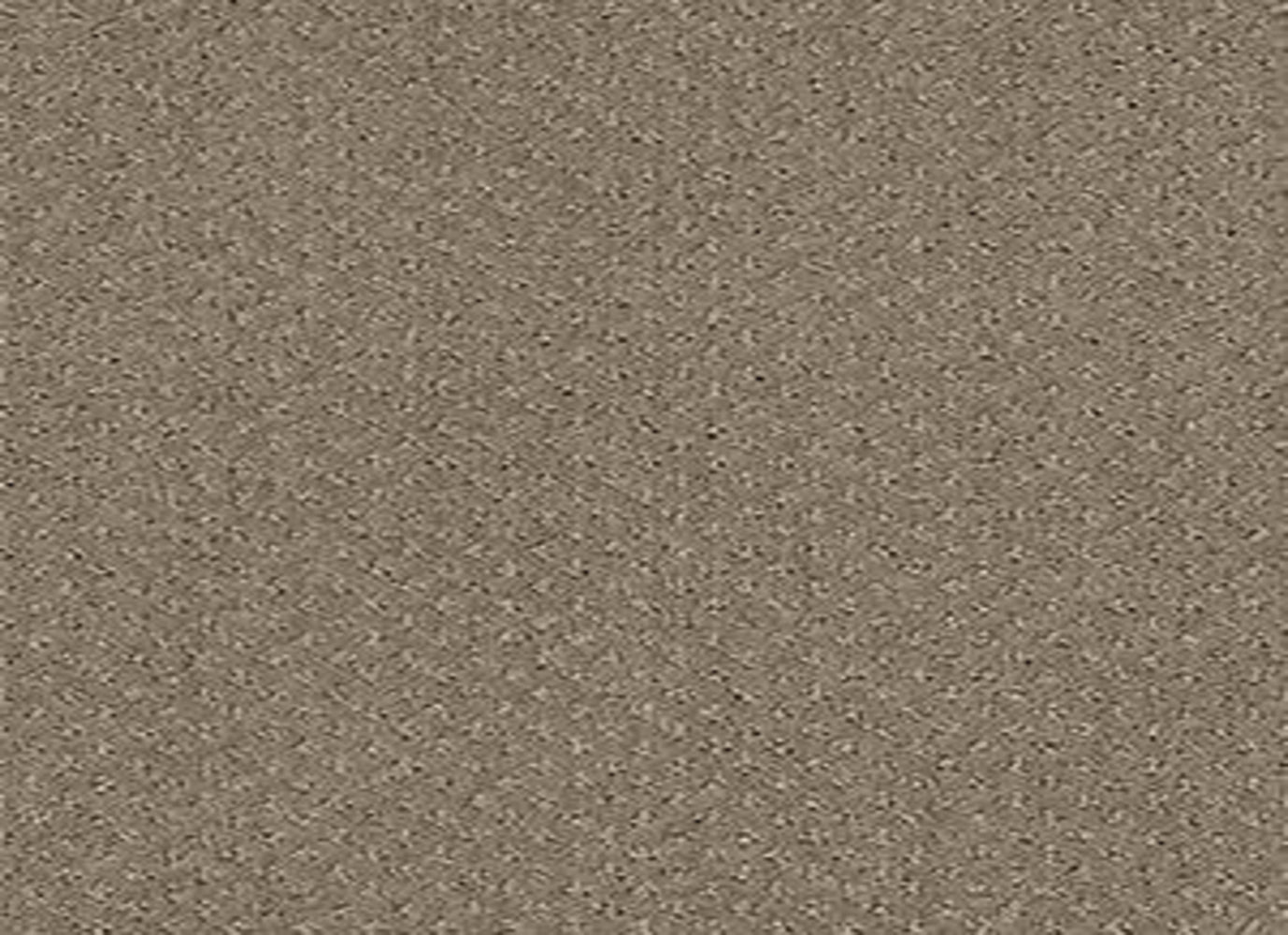 INFALLIBLE INSTINCT in Abbey Stone Carpet