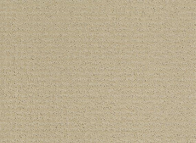 COMPLETE CONTROL in Soft Honey Carpet