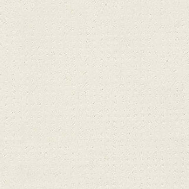 ALLURING DISPOSITION in Crisp Linen Carpet