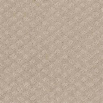 Studio Taupe