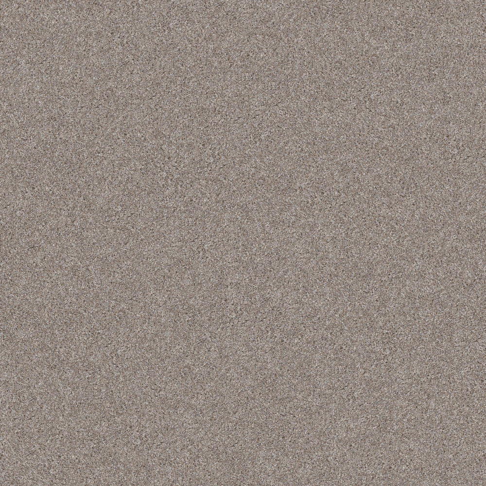 ALL OVER IT I in Misty Harbor Carpet