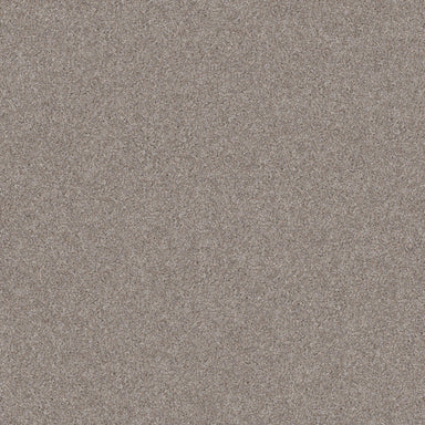 ALL OVER IT I in Misty Harbor Carpet