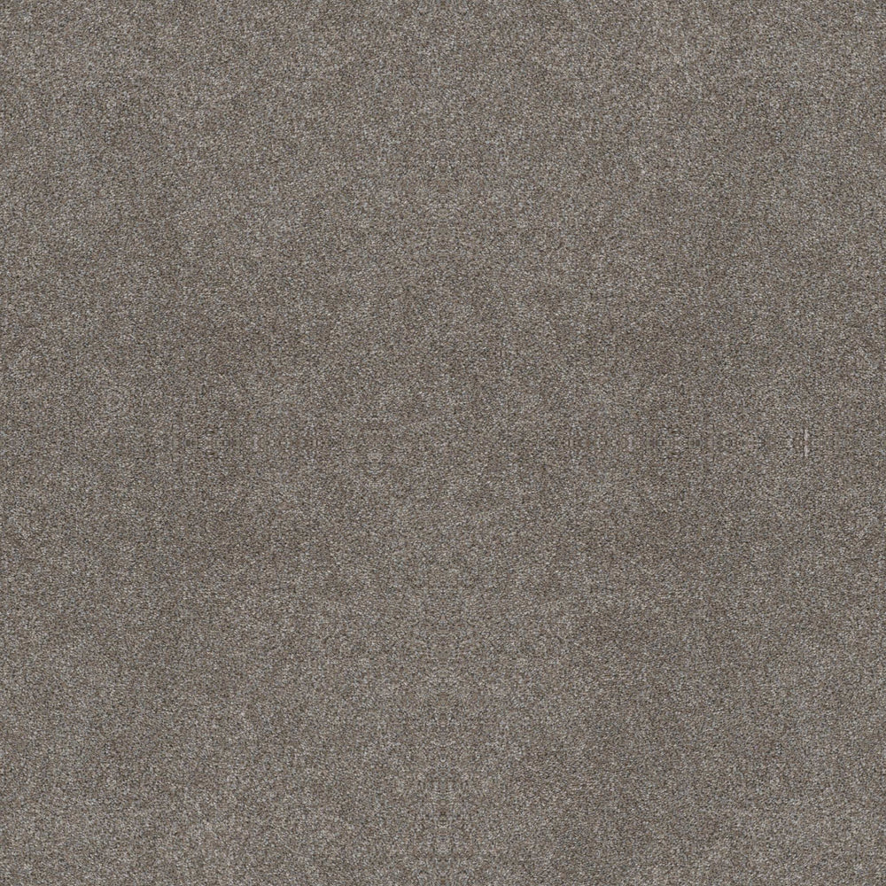 ALL OVER IT II in Weathered Carpet
