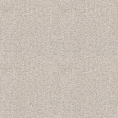 ALL IN ONE in Latte Carpet