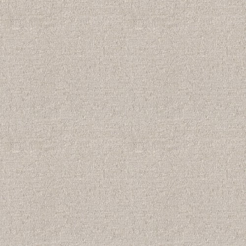 ALL IN ONE in Latte Carpet
