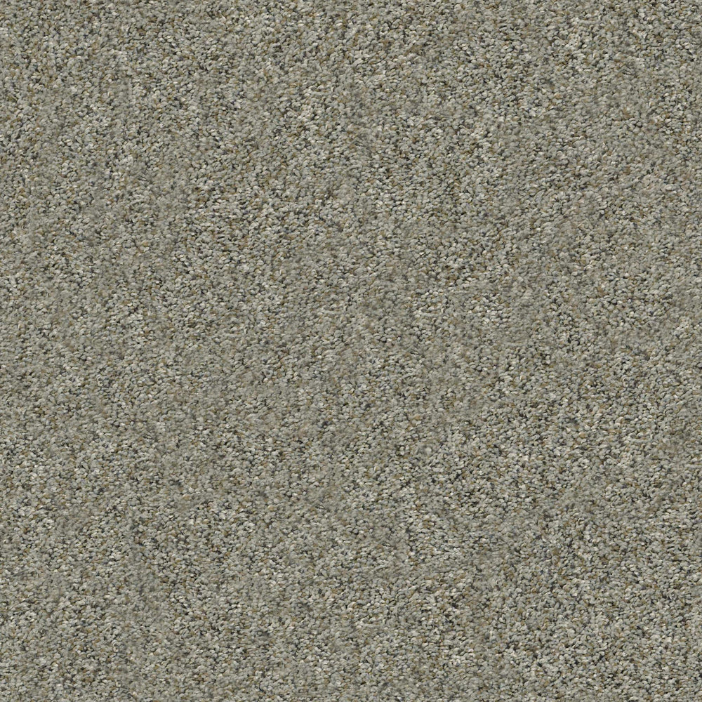 ALL SET I in Beach Walk Carpet