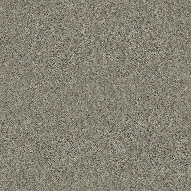 ALL SET I in Beach Walk Carpet