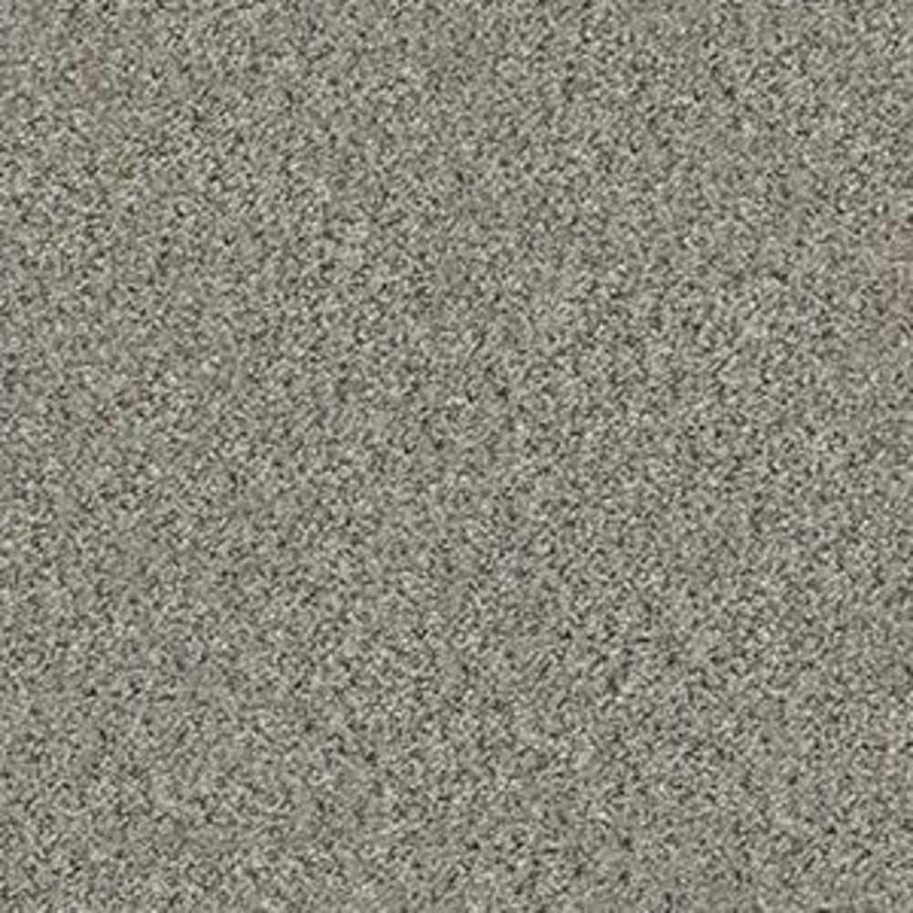ALL SET II in Rhino Carpet