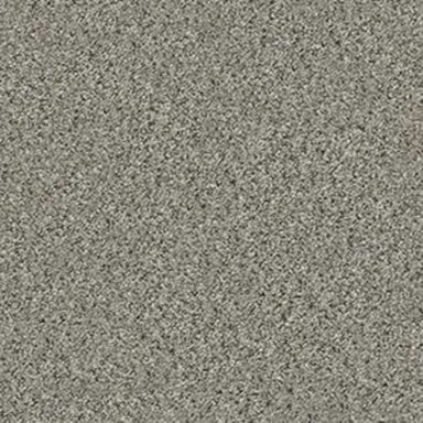 ALL SET II in Rhino Carpet