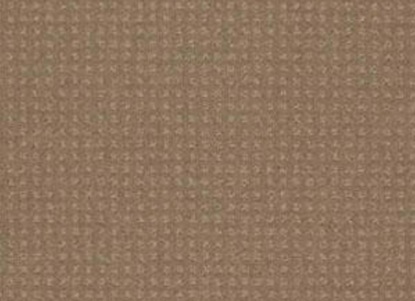 In Savannah in Perfect Beige Carpet