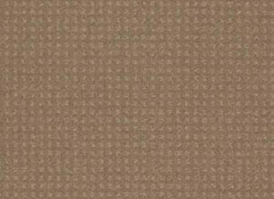 In Savannah in Perfect Beige Carpet