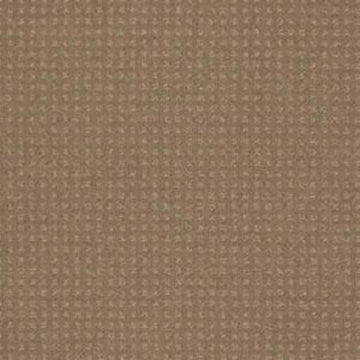 Perfect Beige