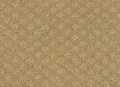 Excel in Natural Wood Carpet