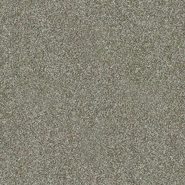 Silver Sage