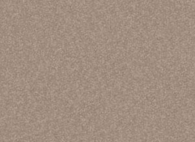 Shingle Creek I 12 in Oatmeal Carpet