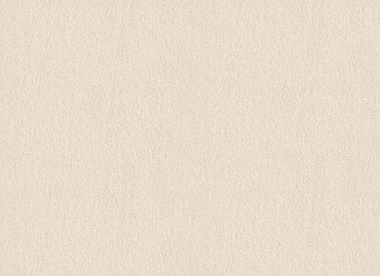 Shingle Creek III 12'