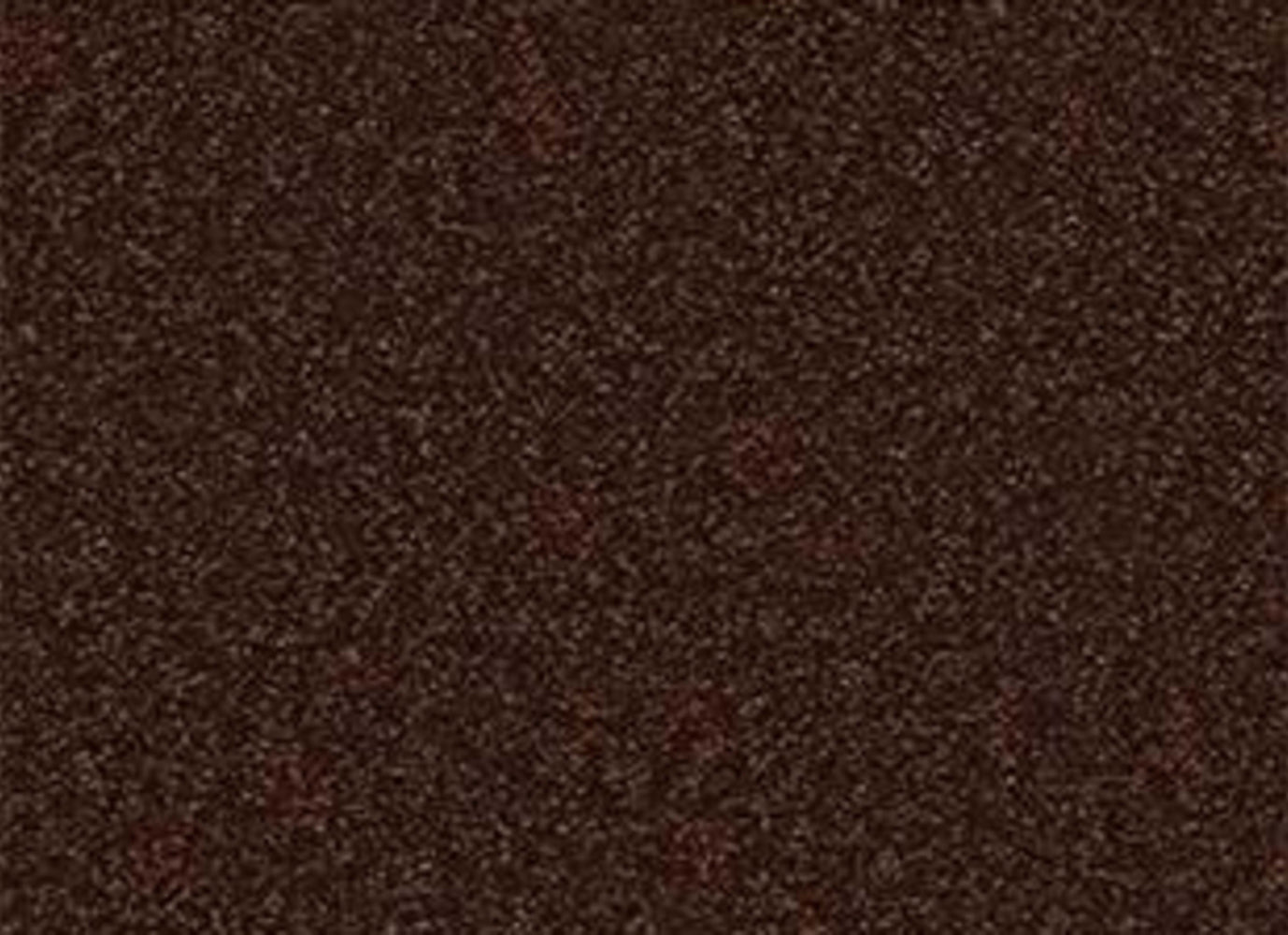 Shingle Creek IV 12' in Coffee Bean Carpet