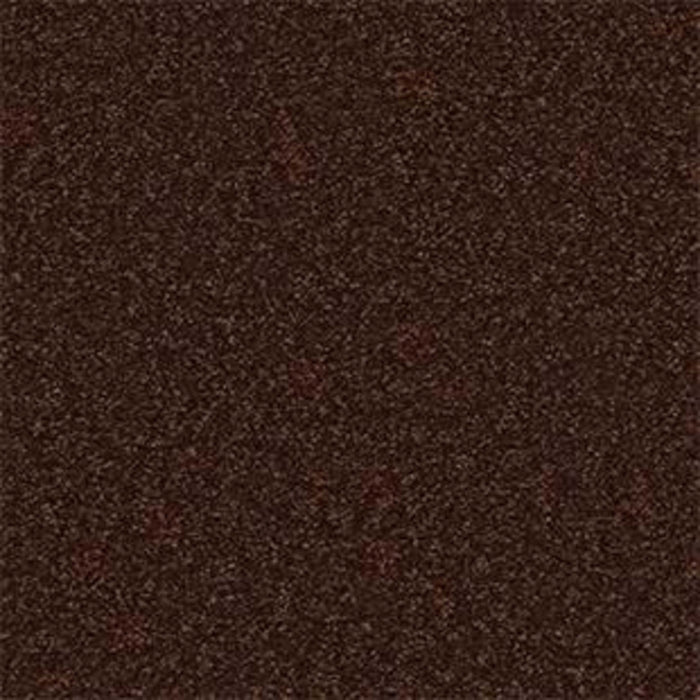 Shingle Creek IV 12'